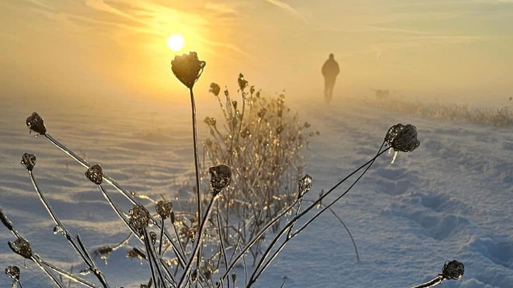 wintersonnenwende räuchern das licht kehrt zurück