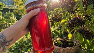 holunder oxymel fertig im glas